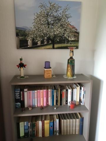 Ferienwohnung Graupner Шварценберг Екстериор снимка